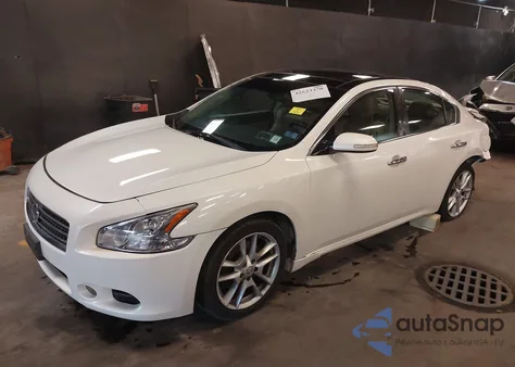 2009 Nissan Maxima 3.5 Sv W/Premium Pkg z USA, uszkodzony, nr VIN 1N4AA51E69C844523